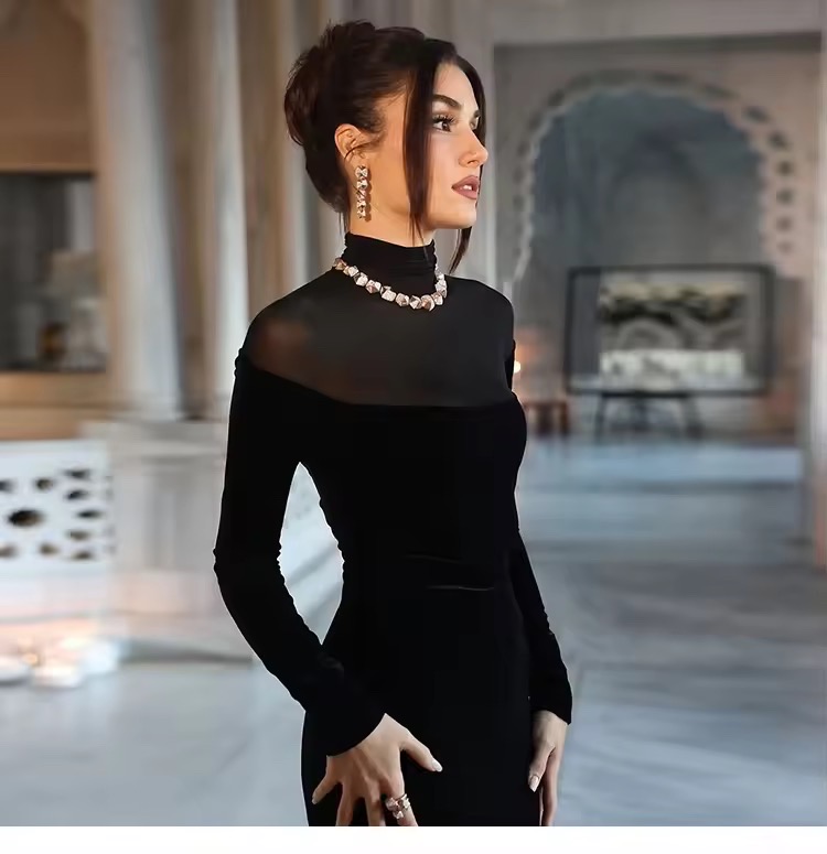 VELVET LONG SLEEVES HIGH NECK SHEER DETAIL DRESS