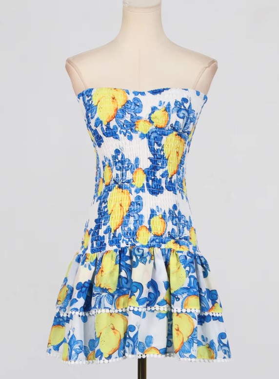 VACAY NOLA EMBROIDERY MINI DRESS