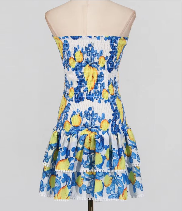 VACAY NOLA EMBROIDERY MINI DRESS
