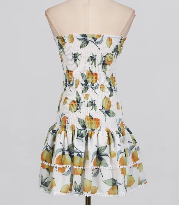 VACAY NOLA EMBROIDERY MINI DRESS